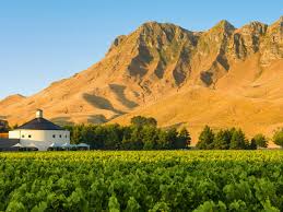 Chateau Roche Audran, AOC Chateau neuf du pape