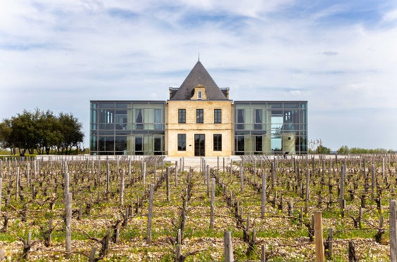 Château Pédesclaux – Pauillac, Bordeaux (Left Bank), 5th Growth (1855)