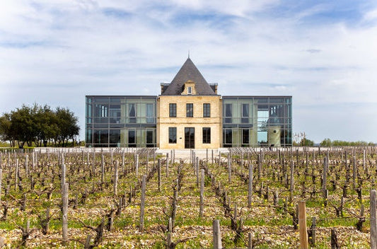 Château Pédesclaux – Pauillac, Bordeaux (Left Bank), 5th Growth (1855)