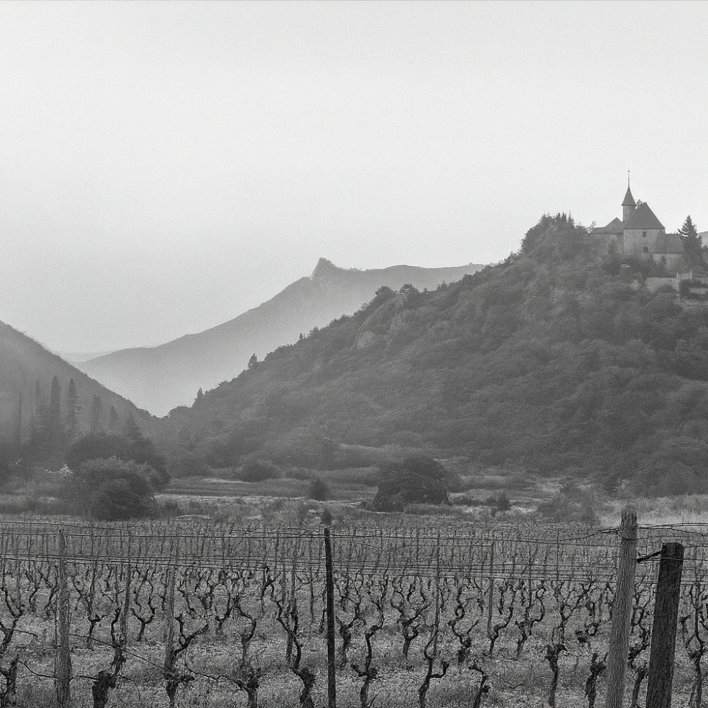 Domaine Peter Sichel – Corbières (Languedoc)
