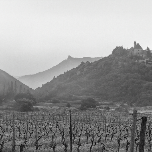 Domaine Peter Sichel – Corbières (Languedoc)